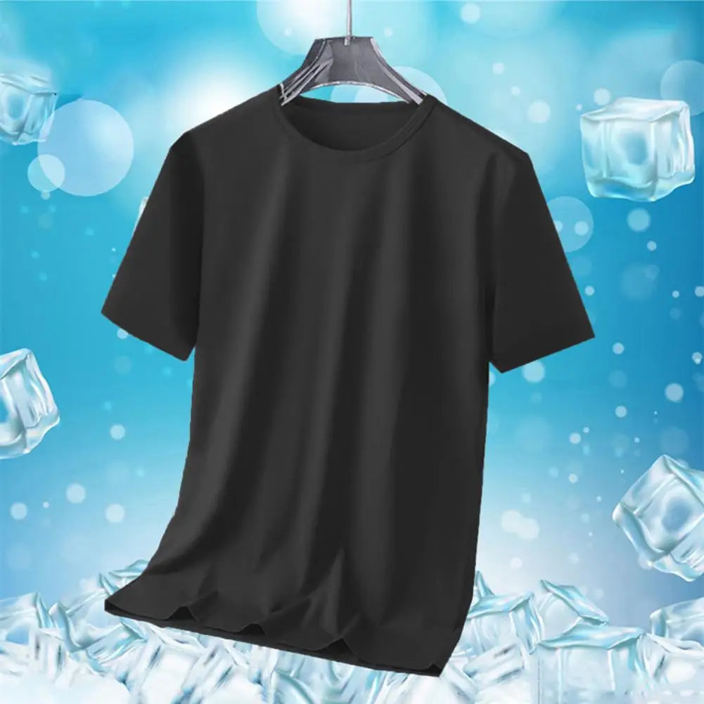 Men's Ice Silk Quick Dry Mesh T-shirt Summer Loose Sportswear Thin Breathable Short-sleeved Top Fitness Black Tops T-Shirts